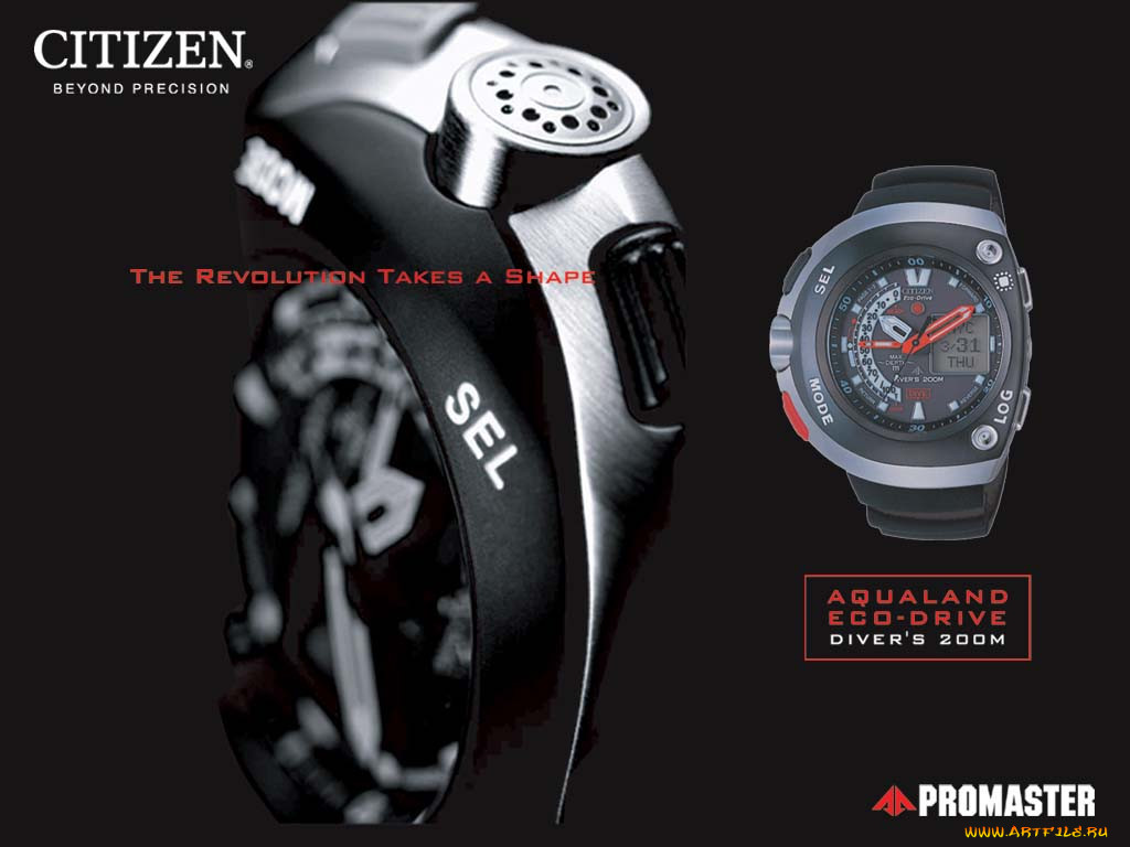 , citizen
